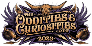oddities curiosities banner